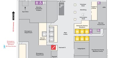 Kat jeyografik nan Mòn Sinayi Lopital Toronto