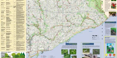Kat jeyografik nan pak ak mache santye bò solèy leve Toronto